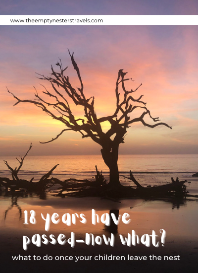 empty nest