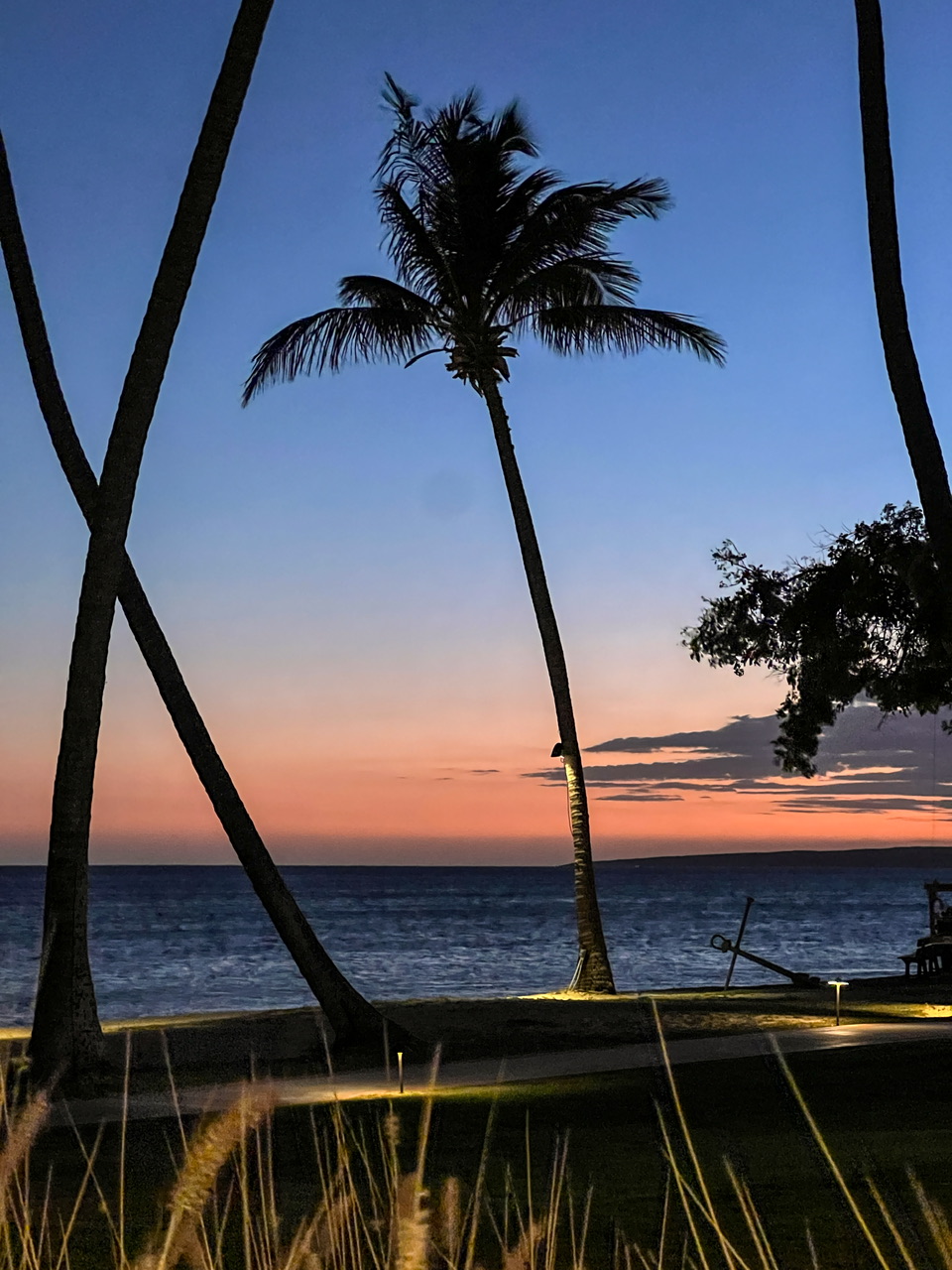 Caribbean Central America Life List