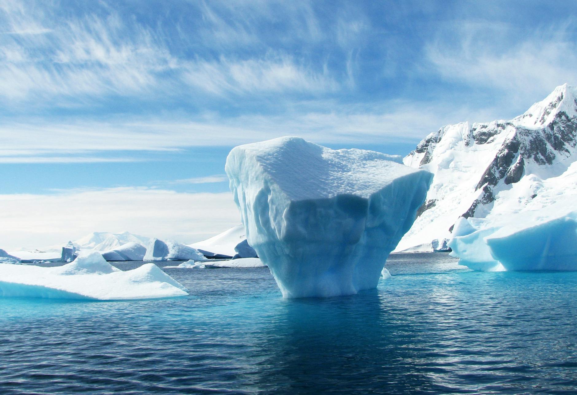 Antarctica Life List
