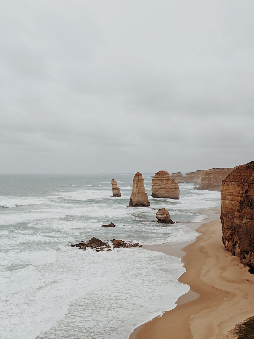 Australia Oceania Life List