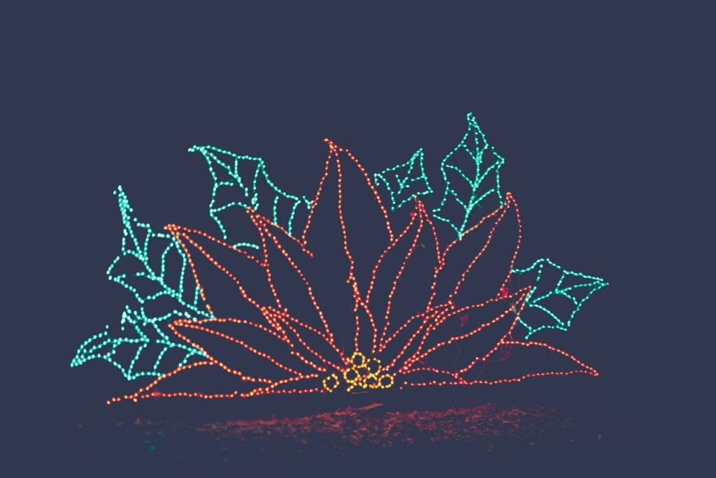 christmas lights