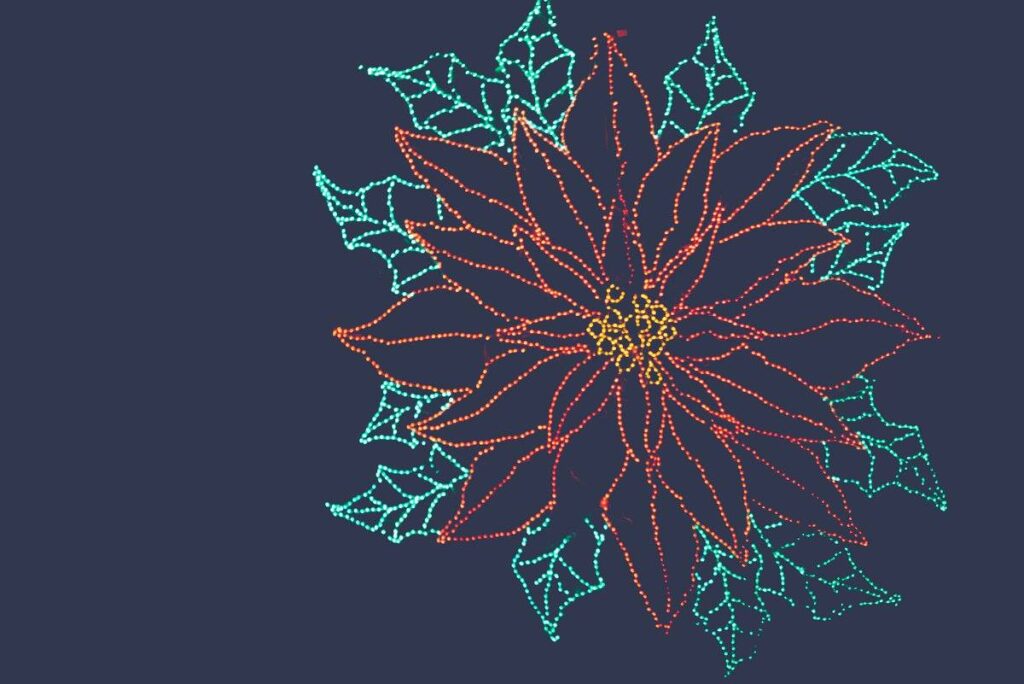 christmas lights