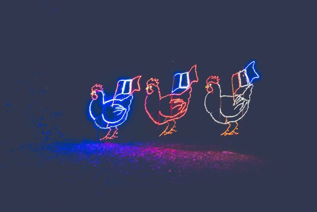 christmas lights
