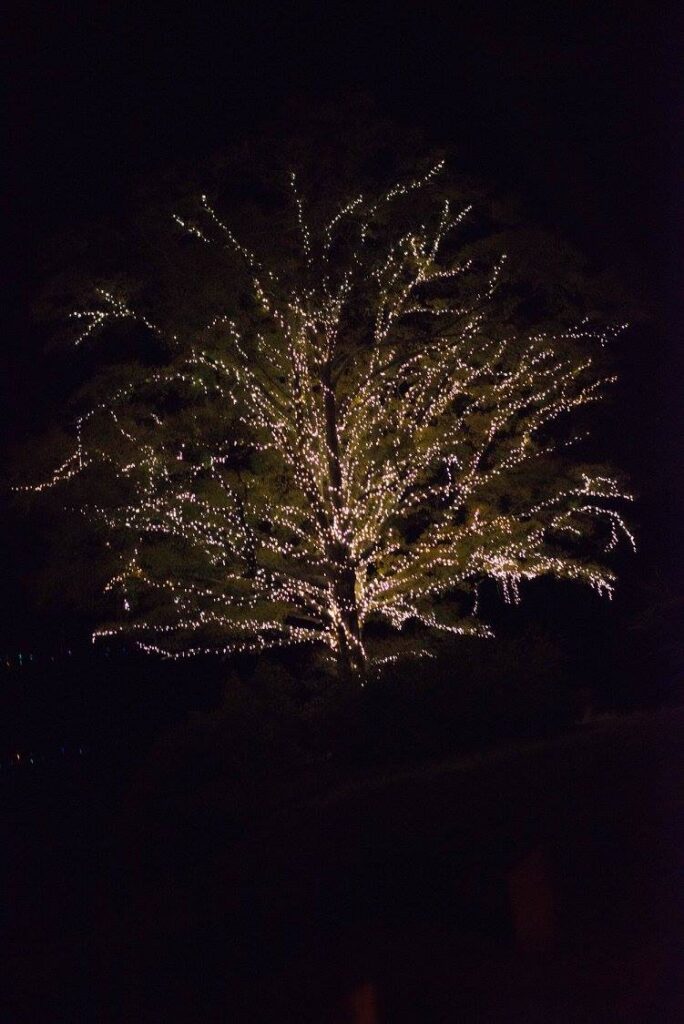 christmas lights