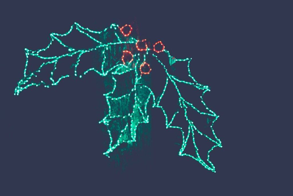 christmas lights
