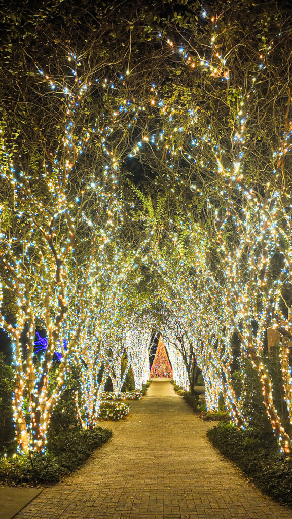 christmas lights