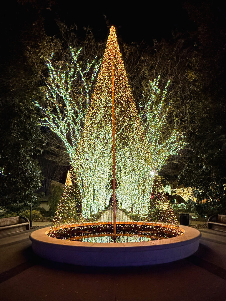 Christmas lights