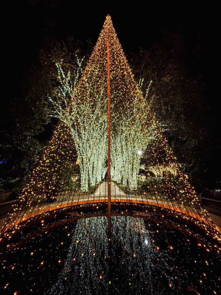 christmas lights