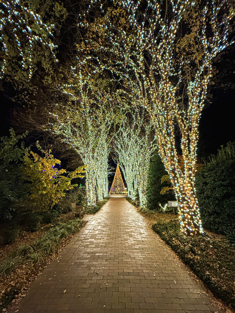 christmas lights
