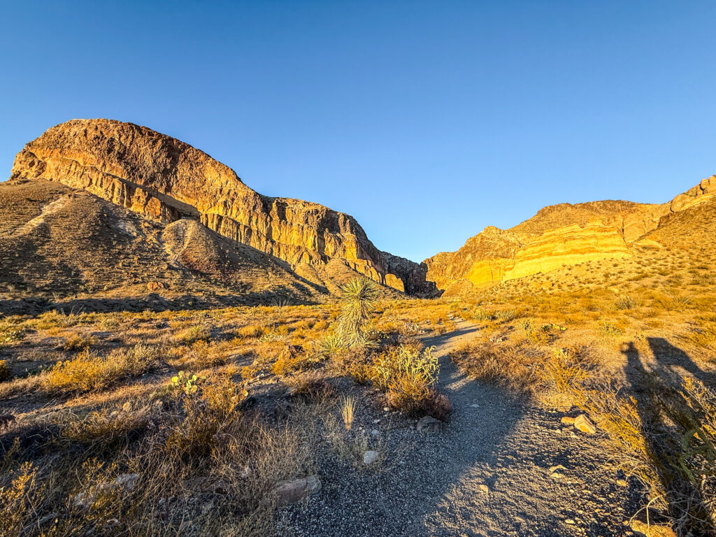 Big Bend National Park