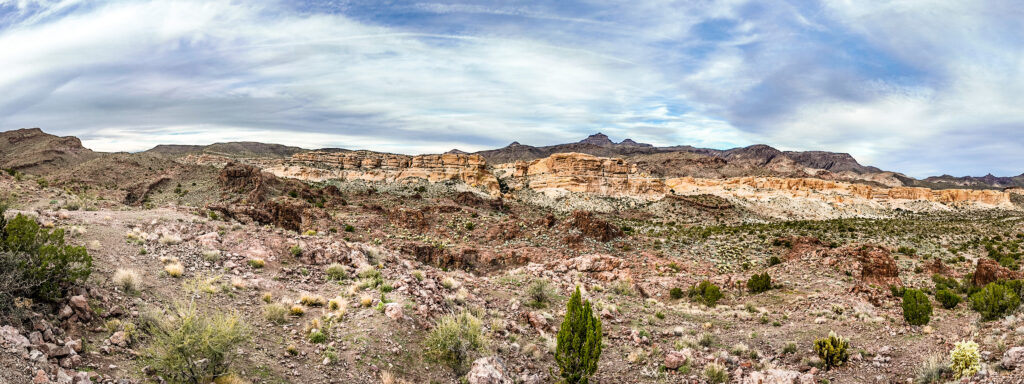 arizona sidewinder